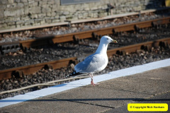071.2019-03-05-Swanage-Railway.-71-