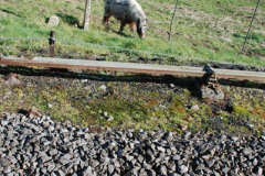 269.2019-03-05-Swanage-Railway.-269-