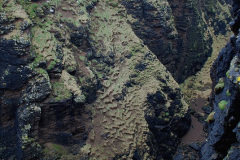 166.2019-03-27-PO-Astoria-Round-UK-Cruise.-166-Lerwick-Shetland-Islands.-