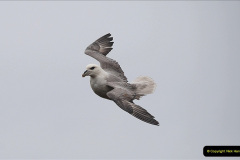 172.2019-03-27-PO-Astoria-Round-UK-Cruise.-172-Lerwick-Shetland-Islands.-