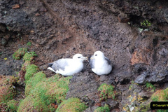 183.2019-03-27-PO-Astoria-Round-UK-Cruise.-183-Lerwick-Shetland-Islands.-