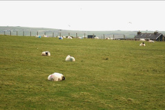032.2019-03-28-PO-Aurora-Round-UK-Cruise.-32-Kirkwall-Orkney-Islands.-