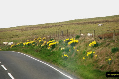 094.2019-03-28-PO-Aurora-Round-UK-Cruise.-94-Kirkwall-Orkney-Islands.-