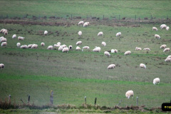 142.2019-03-28-PO-Aurora-Round-UK-Cruise.-142-Kirkwall-Orkney-Islands.-