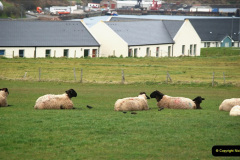 159.2019-03-28-PO-Aurora-Round-UK-Cruise.-159-Kirkwall-Orkney-Islands.-