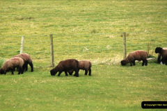160.2019-03-28-PO-Aurora-Round-UK-Cruise.-160-Kirkwall-Orkney-Islands.-