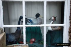 179.2019-03-28-PO-Aurora-Round-UK-Cruise.-179-Kirkwall-Orkney-Islands.-