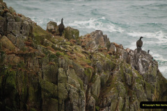 060.2019-03-29-PO-Aurora-Round-UK-Cruise.-60-Stornoway-Isle-of-Lewis.-