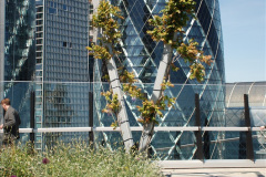 418.2019-05-12-13-Touring-Central-London.-418-