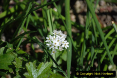 444.2019-05-12-13-Touring-Central-London.-444-