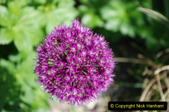 445.2019-05-12-13-Touring-Central-London.-445-
