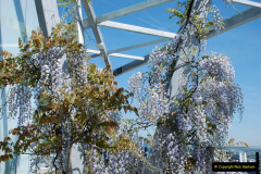 053.2019-05-13-Touring-Central-London.-206-