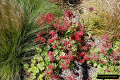 056.2019-05-13-Touring-Central-London.-203-