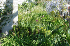 058.2019-05-13-Touring-Central-London.-201-