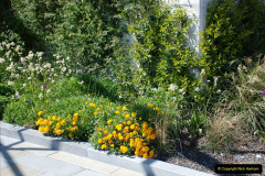 098.2019-05-13-Touring-Central-London.-161-