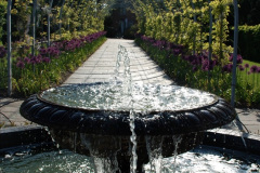 012.2019-05-15-RHS-Wisley.-296-