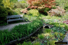 073.2019-05-15-RHS-Wisley.-235-