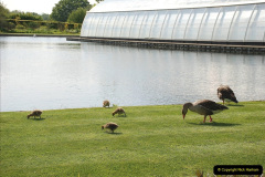 110.2019-05-15-RHS-Wisley.-198-