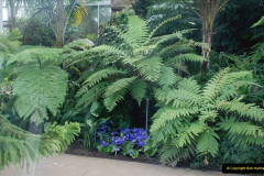 114.2019-05-15-RHS-Wisley.-194-