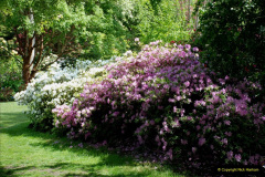 182.2019-05-15-RHS-Wisley.-126-