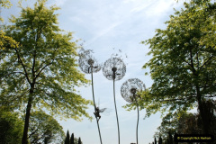 196.2019-05-15-RHS-Wisley.-112-