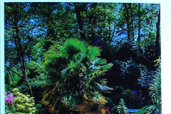 002.2019-05-19-Yellow-Book-Garden-Visit-in-Poole.-2-