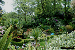 005.2019-05-19-Yellow-Book-Garden-Visit-in-Poole.-5-