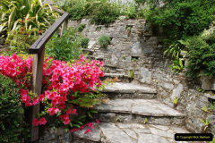 008.2019-05-19-Yellow-Book-Garden-Visit-in-Poole.-8-