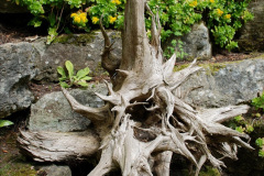 013.2019-05-19-Yellow-Book-Garden-Visit-in-Poole.-13-