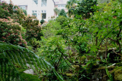 022.2019-05-19-Yellow-Book-Garden-Visit-in-Poole.-22-