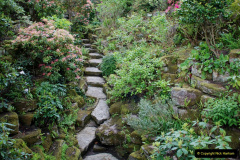 040.2019-05-19-Yellow-Book-Garden-Visit-in-Poole.-40-