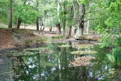 015.2019-05-26-Brownsea-Island-visit.-42-