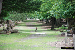 036.2019-05-26-Brownsea-Island-visit.-21-