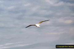 130.2019-11-10-New-York.-130-On-the-way-to-Liberty-Island.-