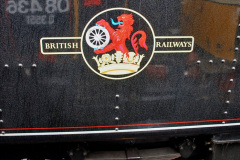 165.2019-10-11-Six-Locomotives-for-the-SR-Autumn-Steam-Gala.-165-