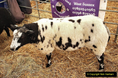 164.2019-09-08-Dorset-County-Show-@-Dorchester.-164-