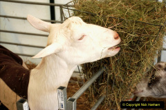 185.2019-09-08-Dorset-County-Show-@-Dorchester.-185-