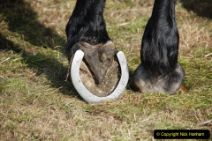 214.2019-09-08-Dorset-County-Show-@-Dorchester.-214-