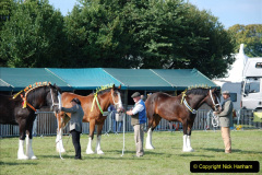 215.2019-09-08-Dorset-County-Show-@-Dorchester.-215-
