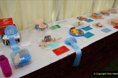 258.2019-09-08-Dorset-County-Show-@-Dorchester.-258-
