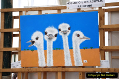 269.2019-09-08-Dorset-County-Show-@-Dorchester.-269-