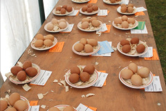 286.2019-09-08-Dorset-County-Show-@-Dorchester.-286-
