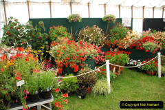 296.2019-09-08-Dorset-County-Show-@-Dorchester.-296-