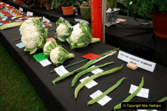 301.2019-09-08-Dorset-County-Show-@-Dorchester.-301-