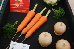 302.2019-09-08-Dorset-County-Show-@-Dorchester.-302-