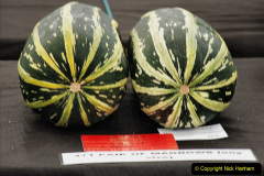 309.2019-09-08-Dorset-County-Show-@-Dorchester.-309-