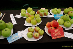 321.2019-09-08-Dorset-County-Show-@-Dorchester.-321-