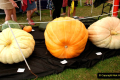 327.2019-09-08-Dorset-County-Show-@-Dorchester.-327-