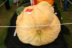 329.2019-09-08-Dorset-County-Show-@-Dorchester.-329-