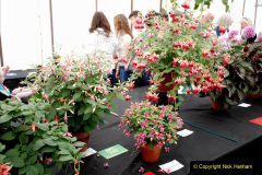 345.2019-09-08-Dorset-County-Show-@-Dorchester.-345-